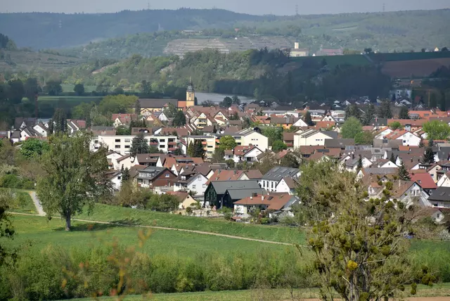 Hineingekuschelt in eine Schleife des Neckars liegt die Gemeinde Offenau (Foto: P, Klotz)