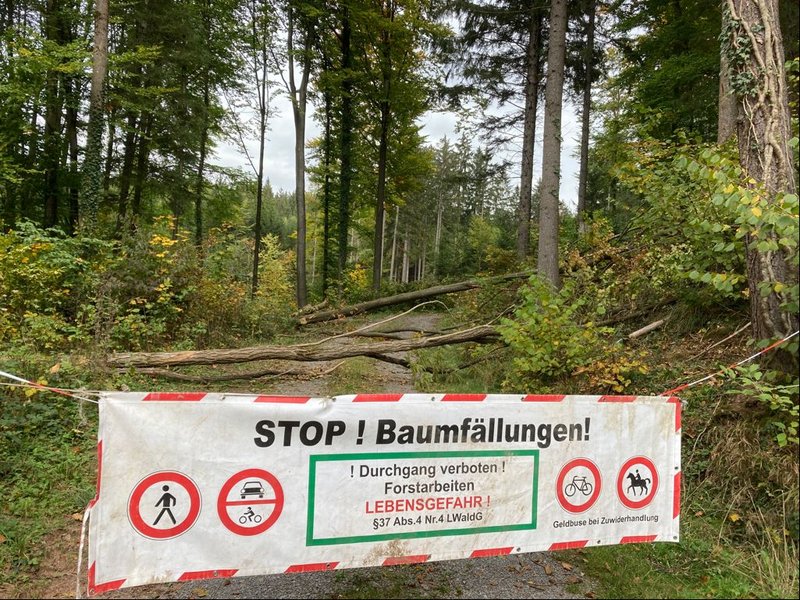 Sperrung Waldweg zur Holzernte im Herbst (Foto: Landratsamt Heilbronn)