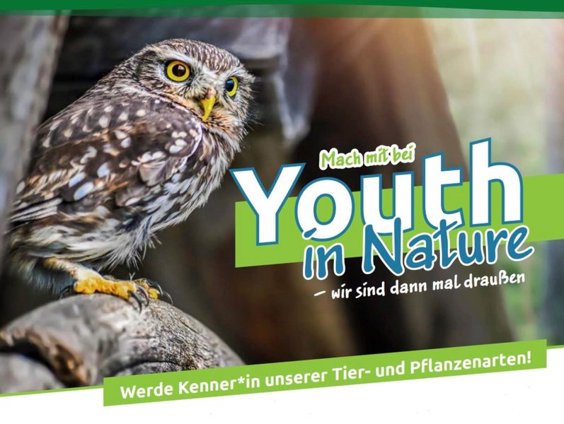 Teaser mit Eulenvogel zum Projekt Youth in Nature II des Landesnaturschutzverbandes Baden-Württemberg (Grafik: LNV Baden-Württemberg