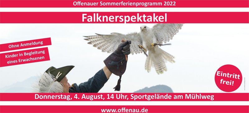 Teaserfoto Falknerspektakel 2022 